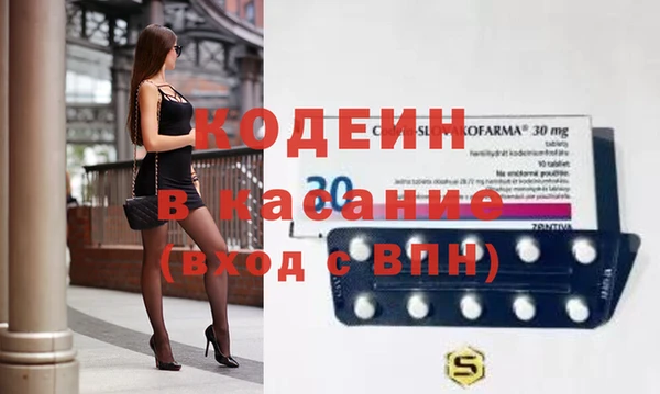 индика Богданович